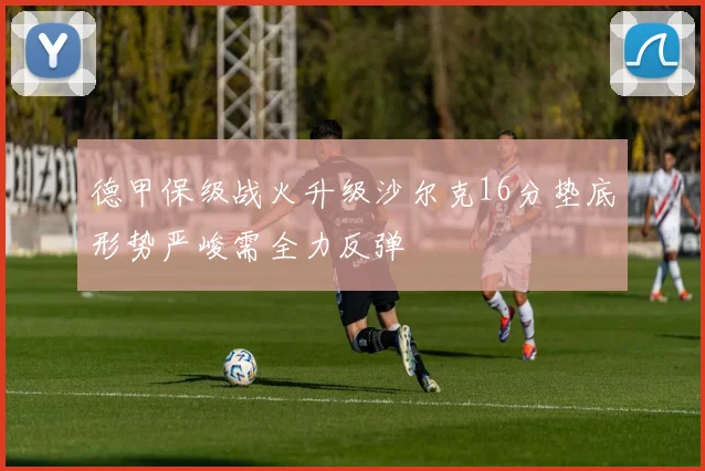 德甲保级战火升级沙尔克16分垫底形势严峻需全力反弹